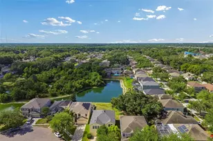 11509 Dutch Iris Dr, Riverview, FL 33578 - Photo 49