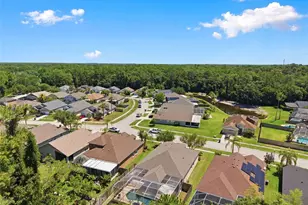 14330 Moon Flower Dr, Tampa, FL 33626 - Photo 53