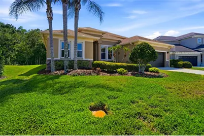 3320 Grassglen Place, Wesley Chapel, FL 33544 - Photo 3