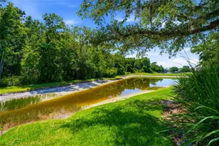 3320 Grassglen Pl, Wesley Chapel, FL 33544 - Photo 47
