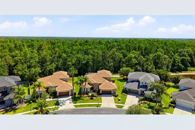 3320 Grassglen Place, Wesley Chapel, FL 33544 - Photo 7