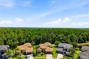 3320 Grassglen Pl, Wesley Chapel, FL 33544 - Photo 7
