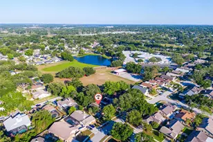 647 Bonnie Blvd, Palm Harbor, FL 34684 - Photo 31