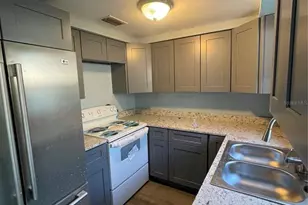 10013 Oslin St, Tampa, FL 33615 - Photo 23