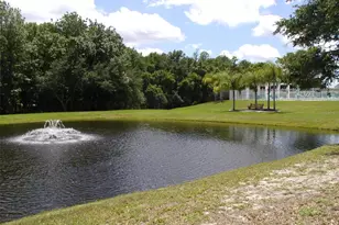 3952 Elvira Ct, New Port Richey, FL 34655 - Photo 19