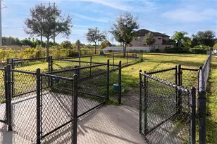 13415 White Sapphire Rd, Riverview, FL 33579 - Photo 99