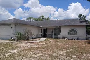 12487 Killian St, Spring Hill, FL 34609 - Photo 1