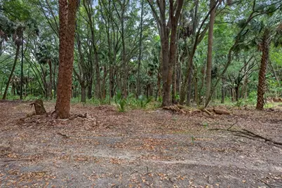 0 N US Hwy 301, Citra, FL 32113 - Photo 11