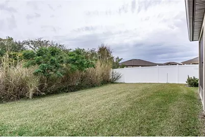 13877 Carlow Park Drive, Riverview, FL 33579 - Photo 19