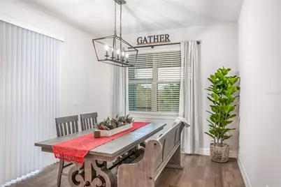13877 Carlow Park Drive, Riverview, FL 33579 - Photo 11