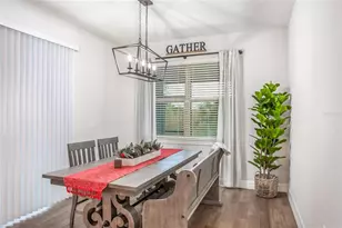 13877 Carlow Pk Dr, Riverview, FL 33579 - Photo 11