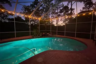 10852 Panicum Ct, New Port Richey, FL 34655 - Photo 53