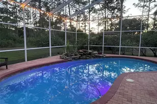 10852 Panicum Ct, New Port Richey, FL 34655 - Photo 51