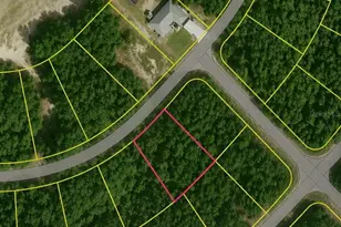 SE Fischer Ln Dr, Ocklawaha, FL 32179 - Photo 1