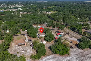 2710 Lewis Rd, Dover, FL 33527 - Photo 53