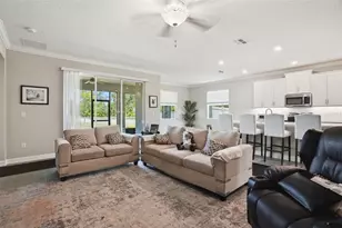 17135 Shell Bay Dr, Land O Lakes, FL 34638 - Photo 3