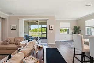 17135 Shell Bay Dr, Land O Lakes, FL 34638 - Photo 7