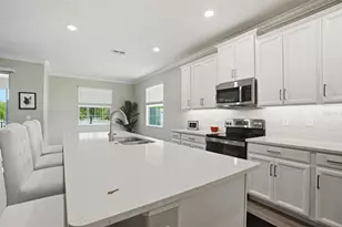 17135 Shell Bay Dr, Land O Lakes, FL 34638 - Photo 13