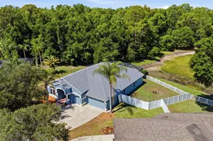 25540 Risen Star Dr, Wesley Chapel, FL 33544 - Photo 41