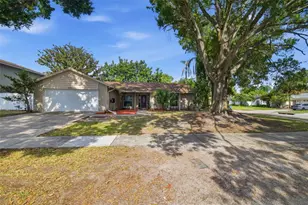 7327 Sunshine Cir, Tampa, FL 33634 - Photo 3