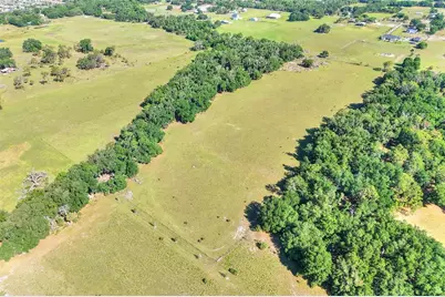 18100 Dorman Road, Lithia, FL 33547 - Photo 13