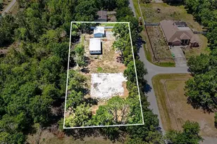 1346 Sierra Pines Blvd, Lutz, FL 33558 - Photo 3