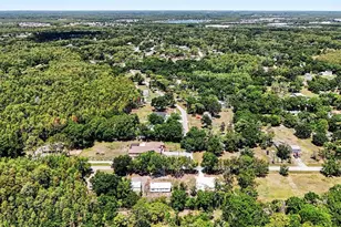 1346 Sierra Pines Blvd, Lutz, FL 33558 - Photo 17