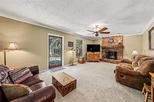 6612 Peachtree Dr, Tampa, FL 33617 - Photo 9