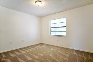 9908 N Myrtle St, Tampa, FL 33617 - Photo 13