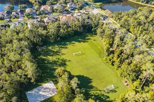 2409 Spring Hollow Loop, Wesley Chapel, FL 33544 - Photo 45