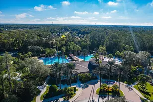 2409 Spring Hollow Loop, Wesley Chapel, FL 33544 - Photo 47