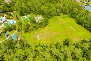 2409 Spring Hollow Loop, Wesley Chapel, FL 33544 - Photo 33