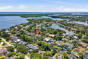 833 Marco Dr NE, Saint Petersburg, FL 33702 - Photo 15