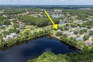 18511 Bittern Ave, Lutz, FL 33558 - Photo 59