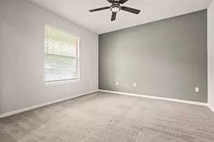 18929 Birchwood Groves Dr, Lutz, FL 33558 - Photo 15