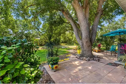 1150 Orange Tree Circle E #D, Palm Harbor, FL 34684 - Photo 19