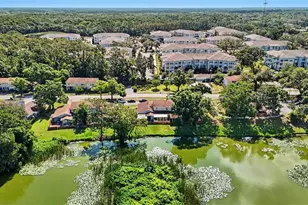 14806 Morning Dr, Lutz, FL 33559 - Photo 37