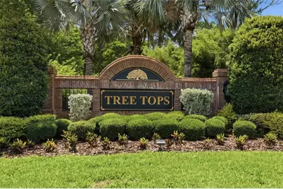 9409 Tree Tops Lake Road, Tampa, FL 33626 - Photo 89