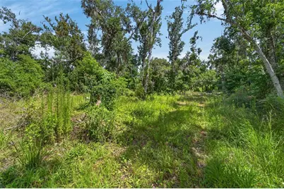 672 Highway, Lithia, FL 33547 - Photo 17