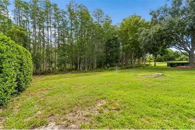 3654 Ballastone Drive, Land O Lakes, FL 34638 - Photo 87