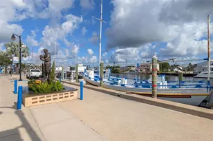 1472 Bay View St, Tarpon Springs, FL 34689 - Photo 47