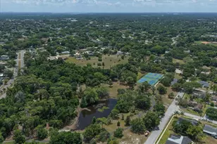 498 Lakeview Dr, Palm Harbor, FL 34683 - Photo 51