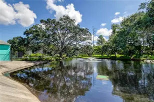 1008 Heron Ct, Dunedin, FL 34698 - Photo 49
