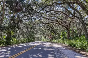 1107 Glenn Ln, Safety Harbor, FL 34695 - Photo 55