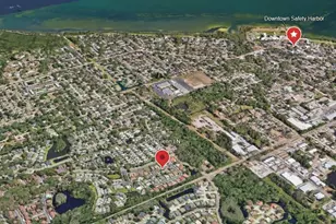 1107 Glenn Ln, Safety Harbor, FL 34695 - Photo 9