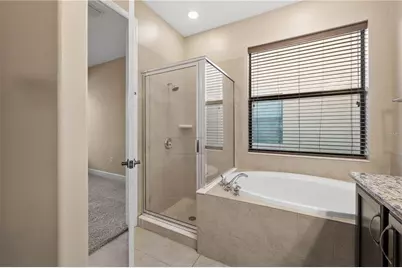 20329 Hertiage Point, Tampa, FL 33647 - Photo 13