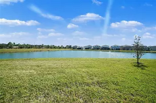 3254 Woodland Brk Wy, Wesley Chapel, FL 33543 - Photo 33