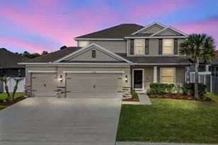 13418 Lakeview Oaks Ln, Riverview, FL 33579 - Photo 1