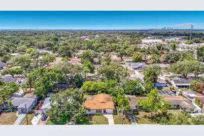 4119 E 98th Avenue, Tampa, FL 33617 - Photo 3
