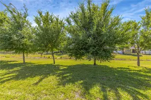 11607 Warren Oaks Pl, Riverview, FL 33578 - Photo 7